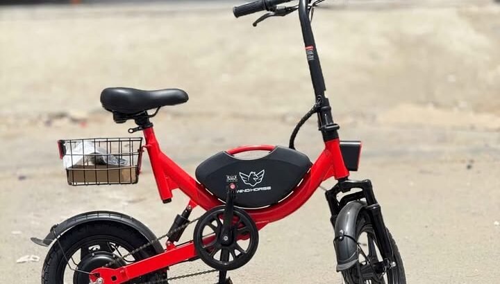 Lightweight Electric Folding Scooter – WindHorse | Ideal for Delivery Rider