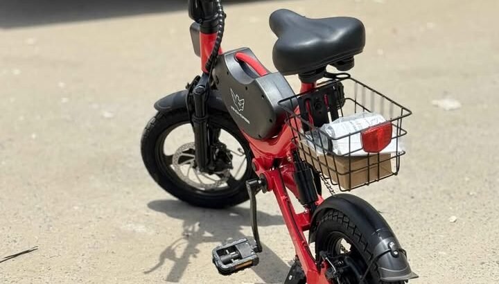 Lightweight Electric Folding Scooter – WindHorse | Ideal for Delivery Rider