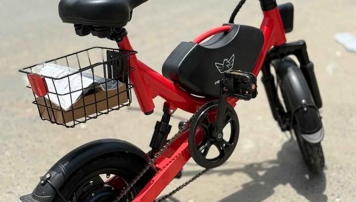 Lightweight Electric Folding Scooter – WindHorse | Ideal for Delivery Rider